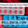 Black Ant Sex Pills new14